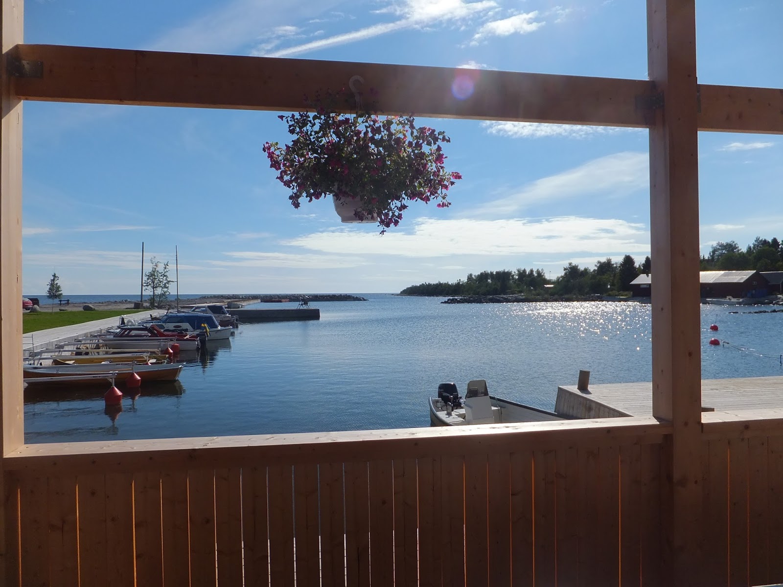 kvarkenfisk kvarkenfisk